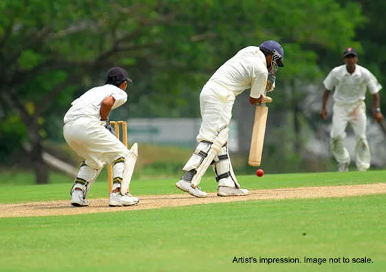 Cricket